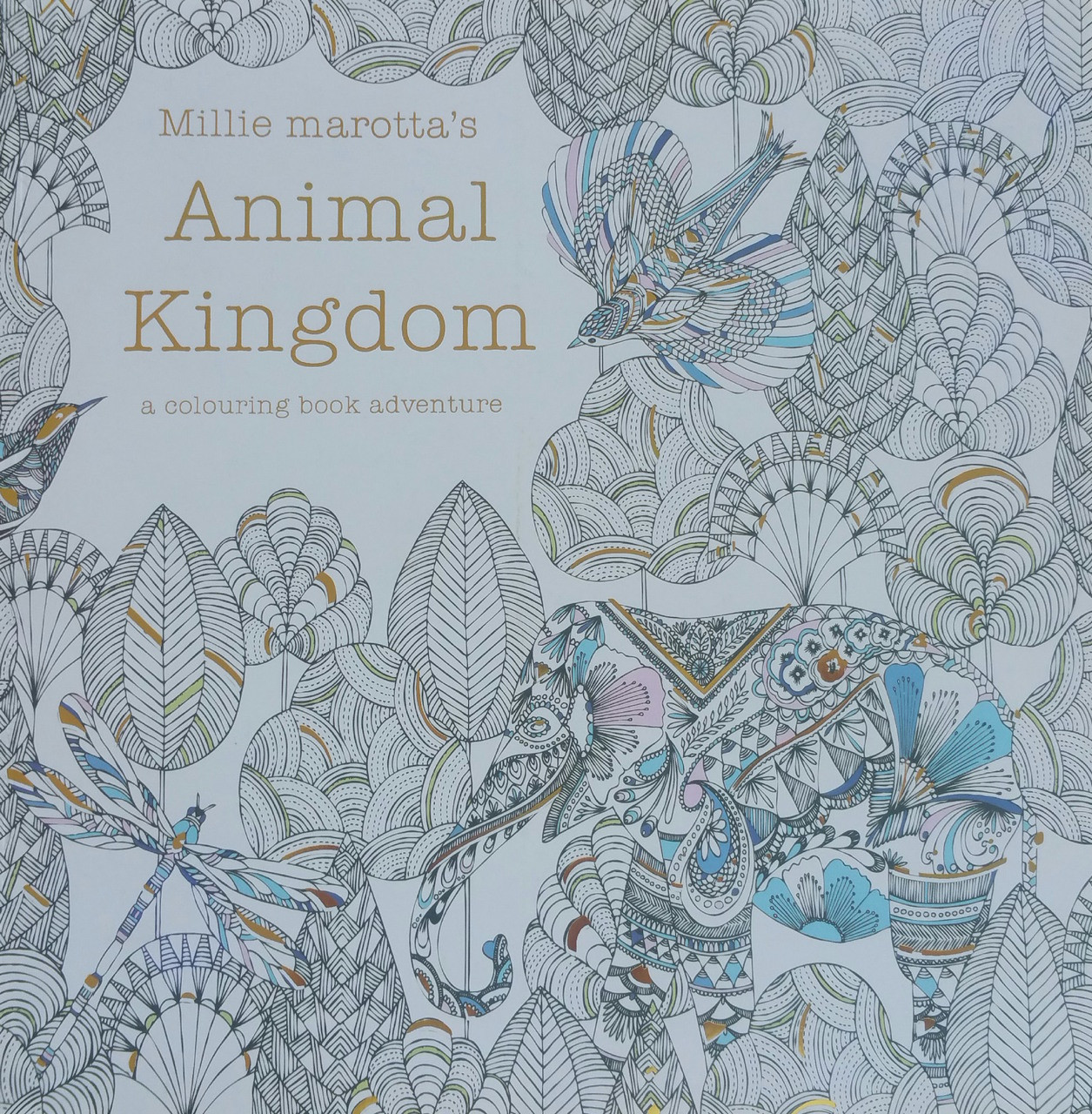 Animal Kingdom A Colouring Book Adventure
